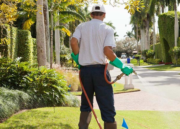About Osage City KS Pest Control